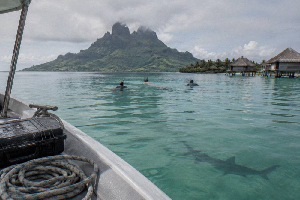 A small group of snorkelers floating in calm green water near a moored boat