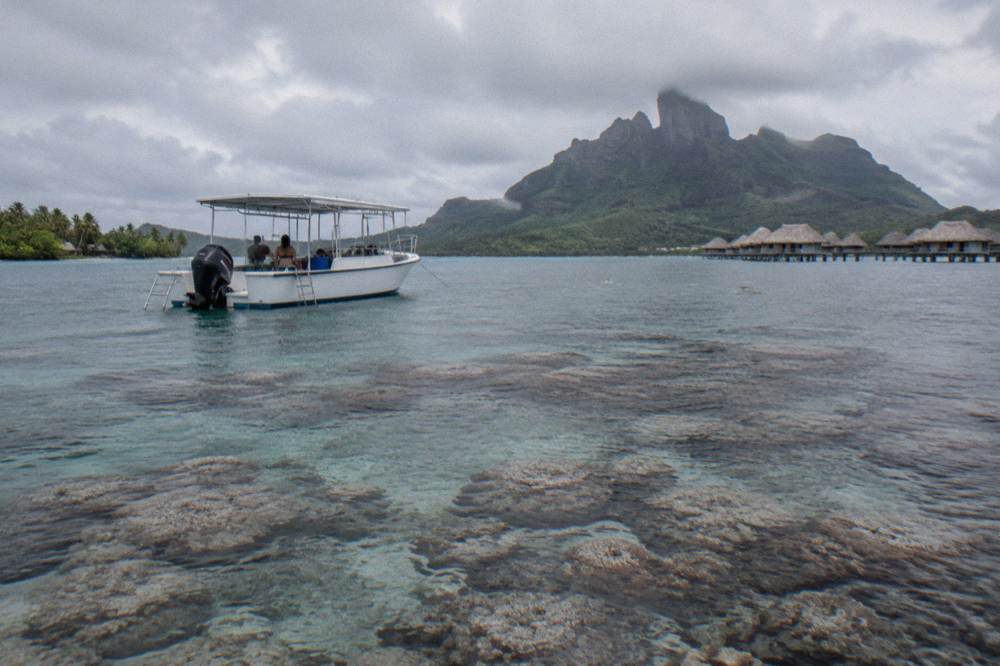 A snorkel boat anchored beside a shallow coral garden in clear lagoon water