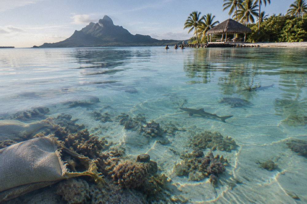 Calm shallow lagoon water over pale sand with coral formations visible below the surface