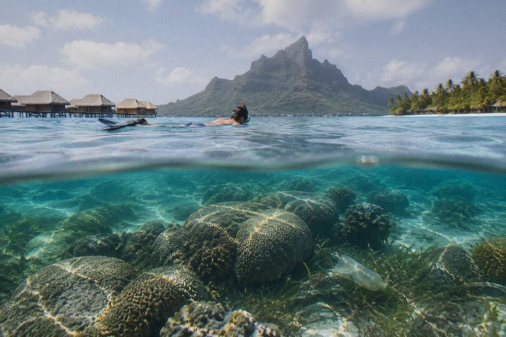 Snorkeler floating over a shallow coral garden in clear tropical water