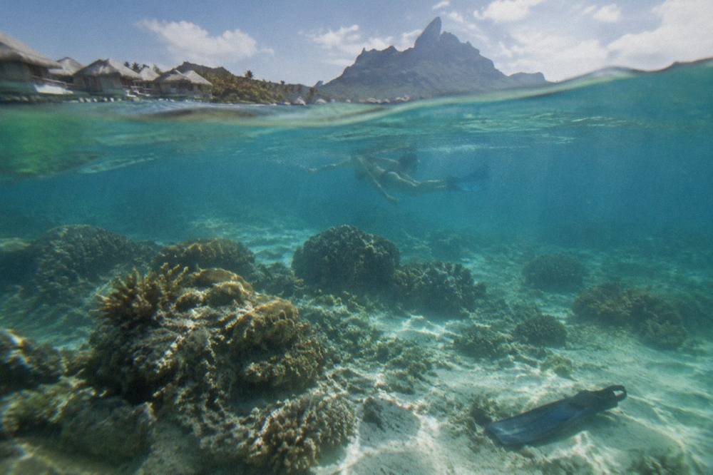 A snorkeler floating above a shallow coral garden in clear turquoise lagoon water