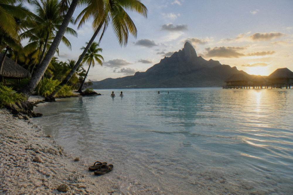 White sand beach with palms leaning over calm shallow lagoon water