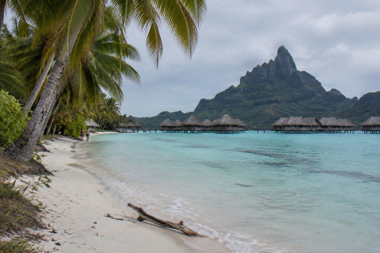 Calm turquoise lagoon water along a palm-lined tropical shoreline
