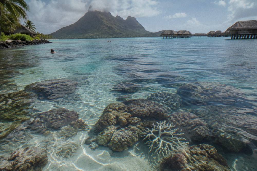 A close view of shallow coral heads in clear turquoise water seen from above