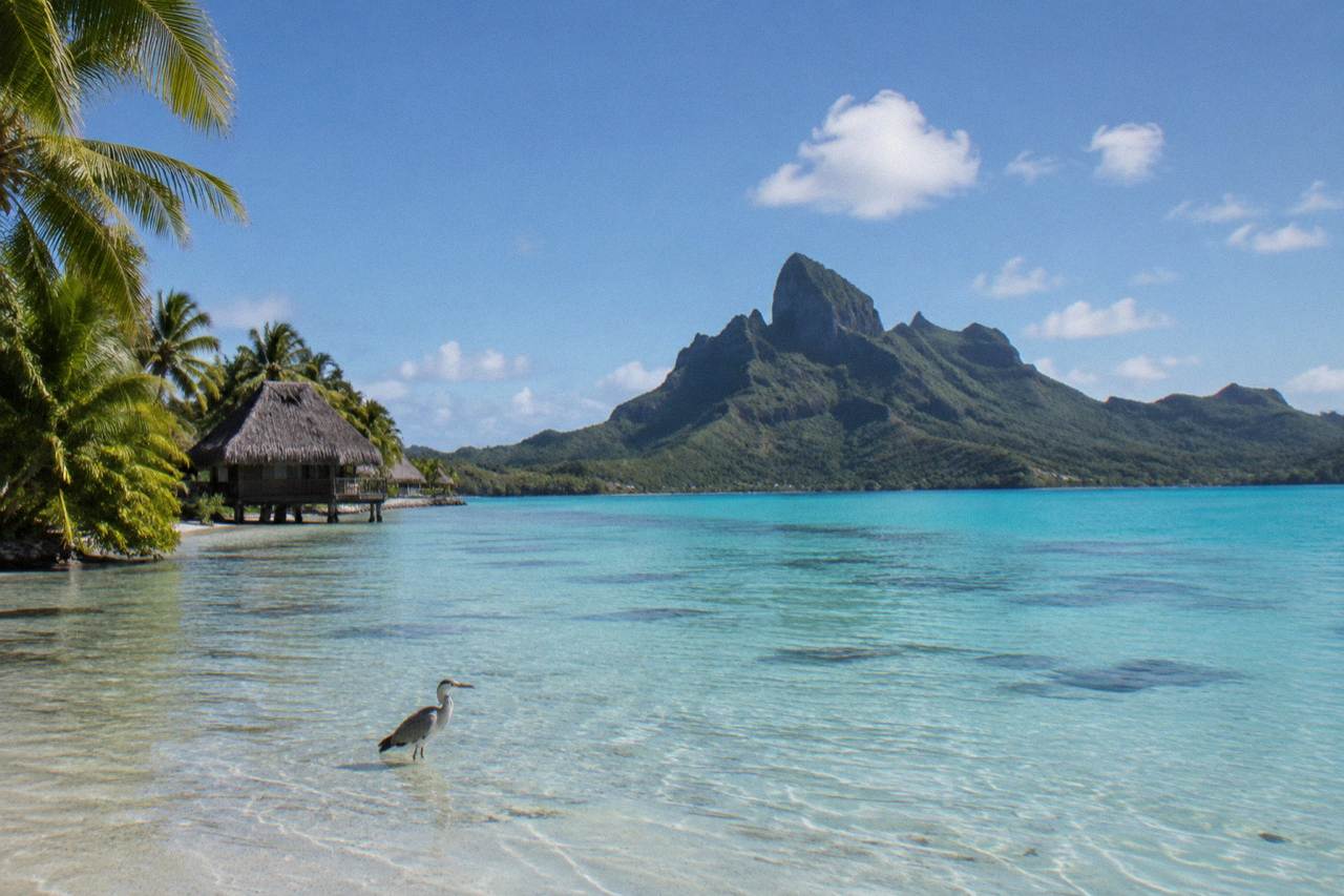 Calm turquoise lagoon water with coral formations below the surface and a green island peak in the distance