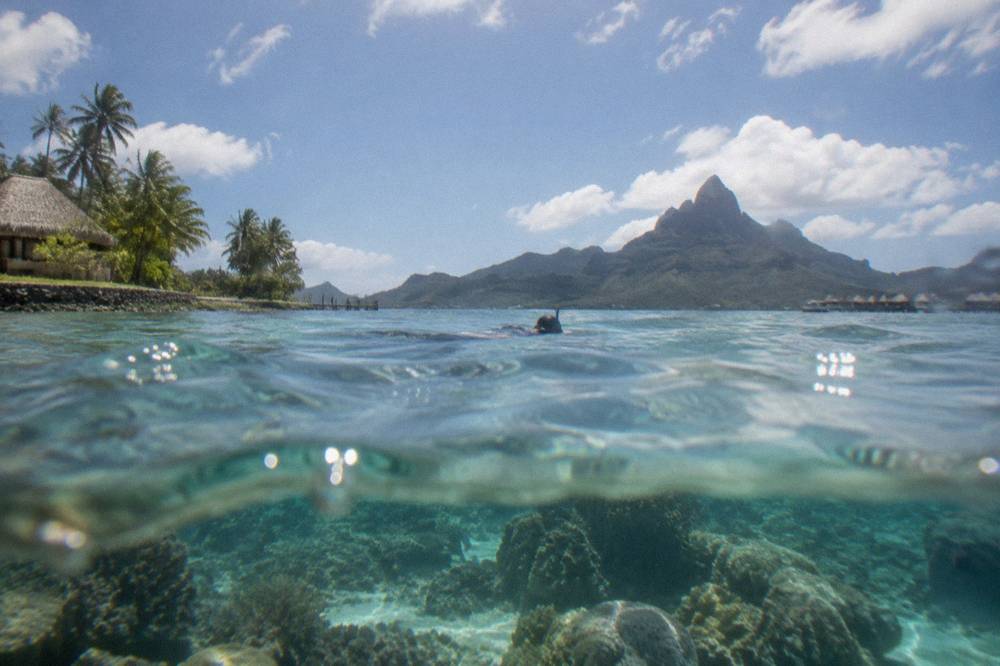 Snorkeler floating above a shallow coral garden in clear blue water
