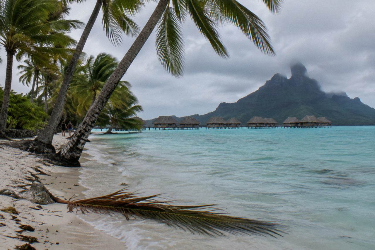 Calm turquoise lagoon water framed by palm trees on a small Polynesian island