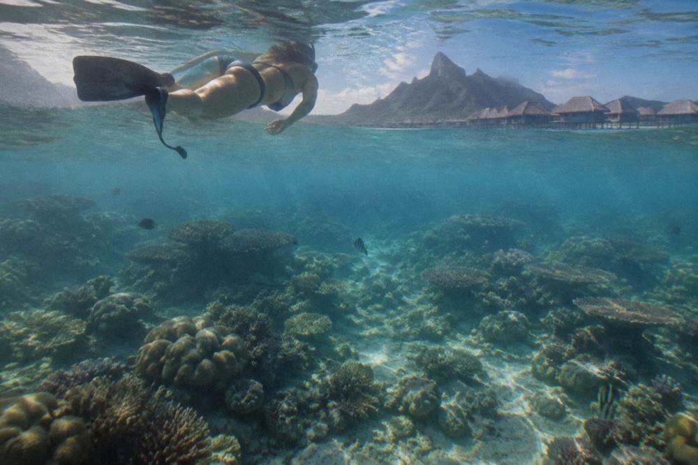 A snorkeler floating above coral in bright clear water with sun rays reaching the reef
