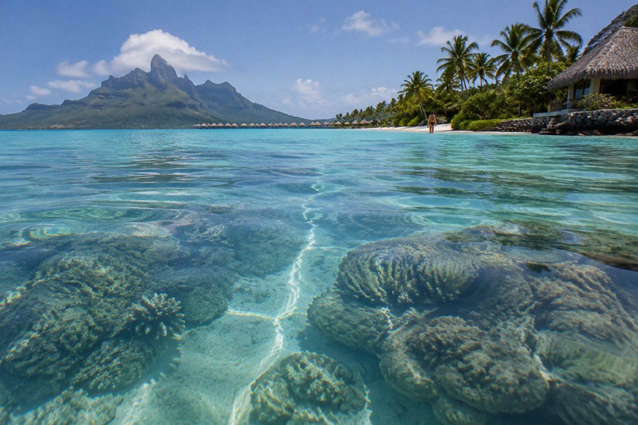 Turquoise lagoon water over pale sand with coral heads below the surface in Bora Bora
