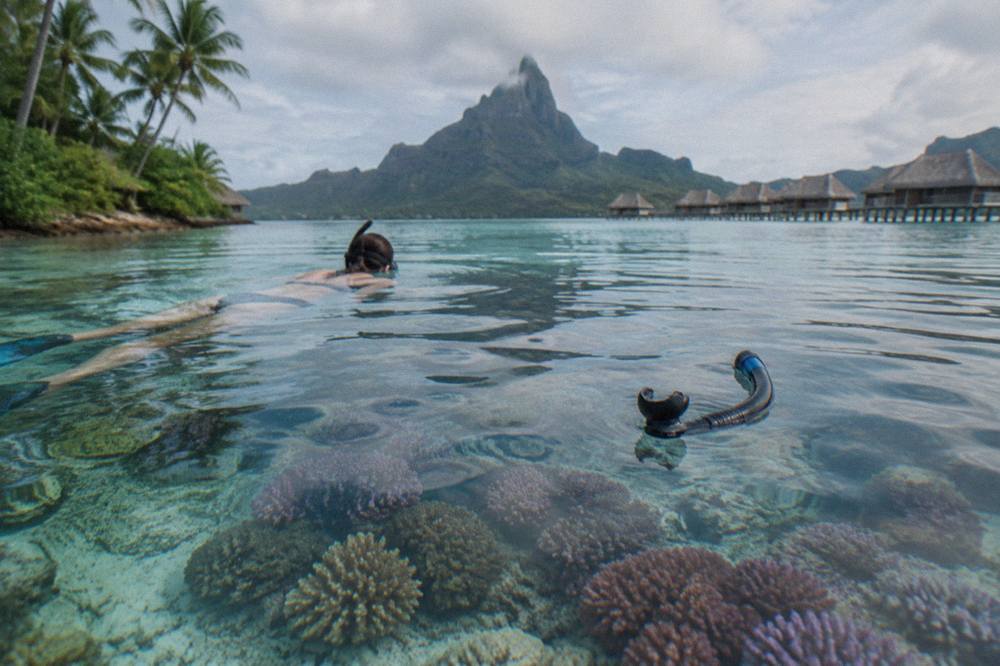 Snorkeler floating over a shallow coral garden in calm lagoon water