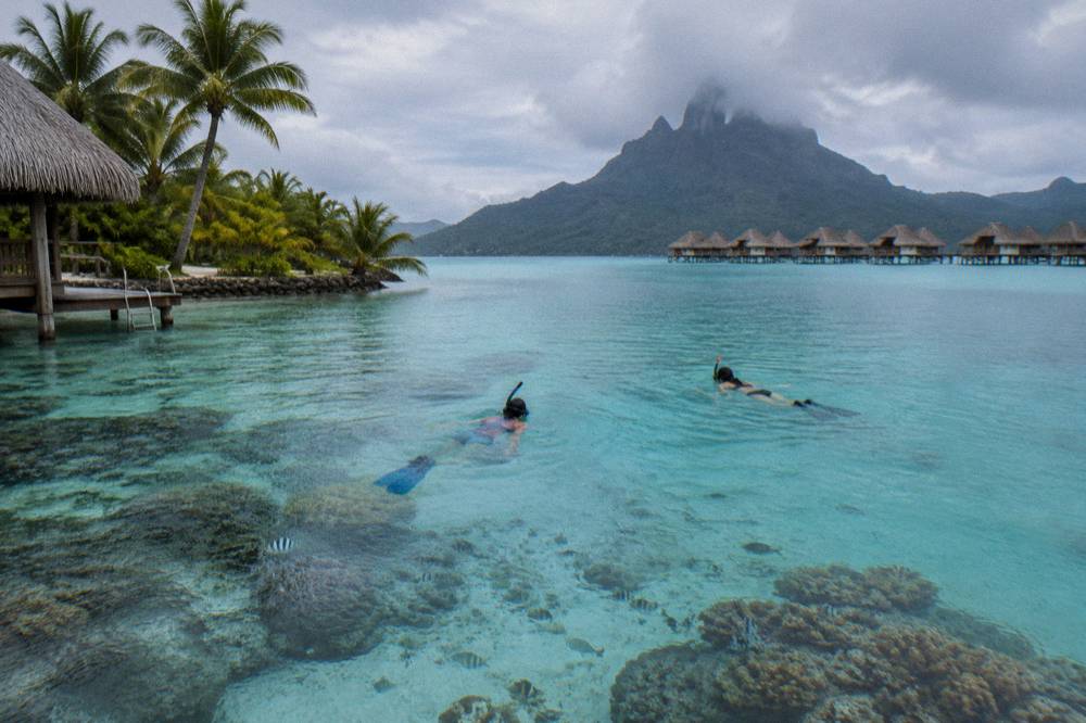 Snorkelers in calm water above a shallow coral garden surrounded by reef fish