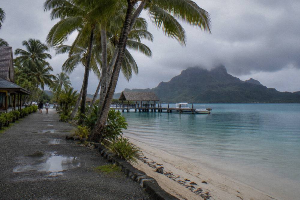 Palm trees leaning over calm shallow lagoon water beside an empty sand beach