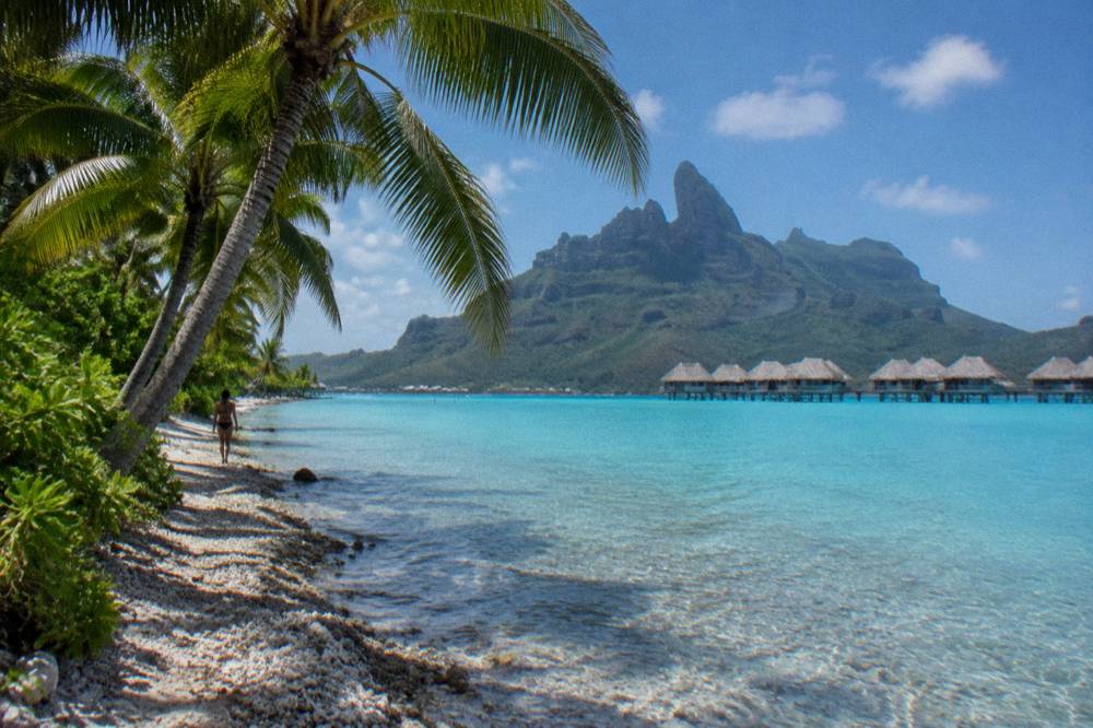 Green volcanic peak with jagged summit rising above palm trees and turquoise lagoon water