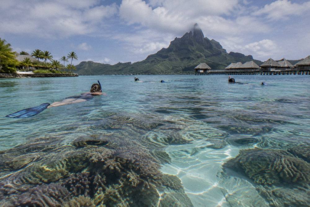 Snorkelers floating above a shallow coral garden in clear turquoise water
