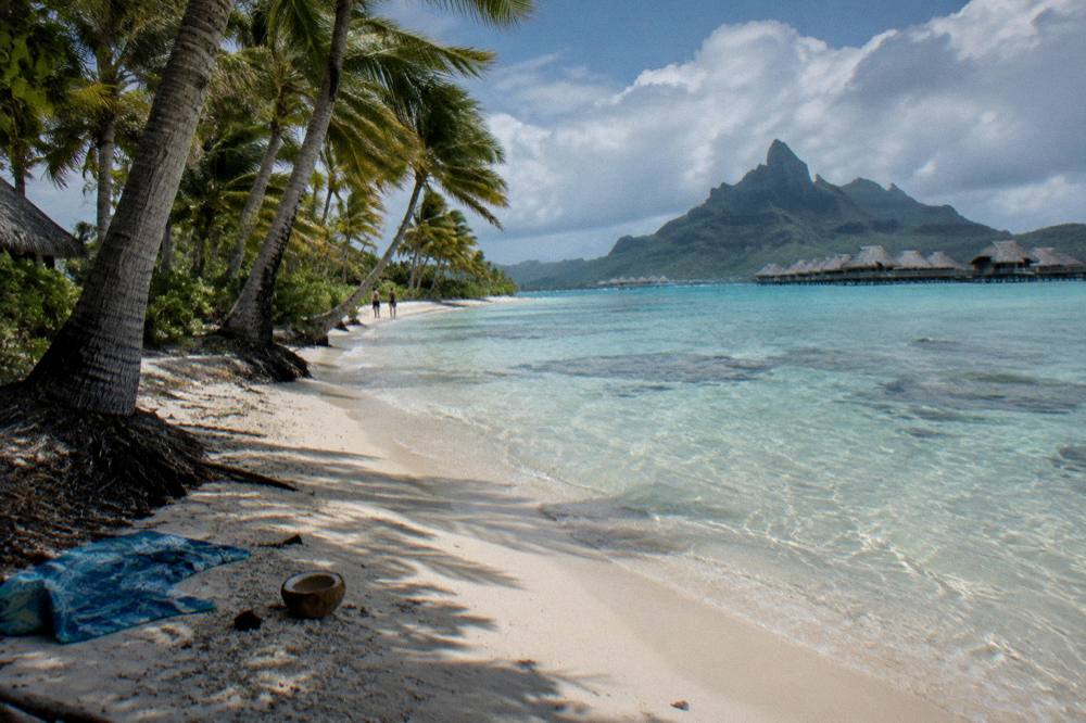 Palm trees leaning over a curved public beach with shallow turquoise water