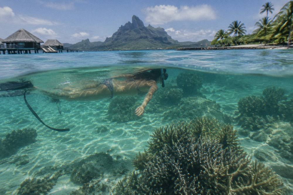 Snorkeler floating above a shallow coral garden in clear turquoise water
