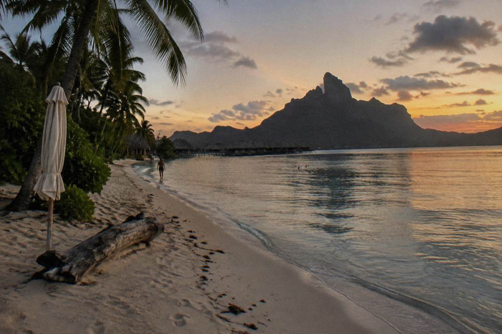 Palm-lined white sand beach curving into calm shallow lagoon water