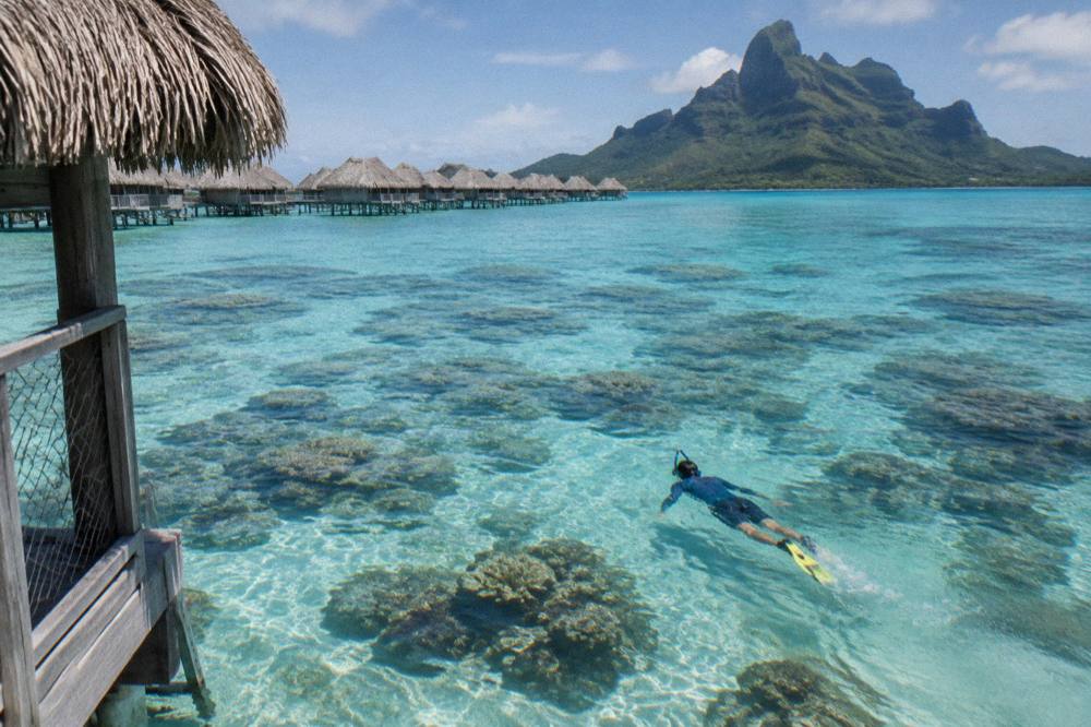 Snorkeler floating face down over a shallow coral garden in clear water