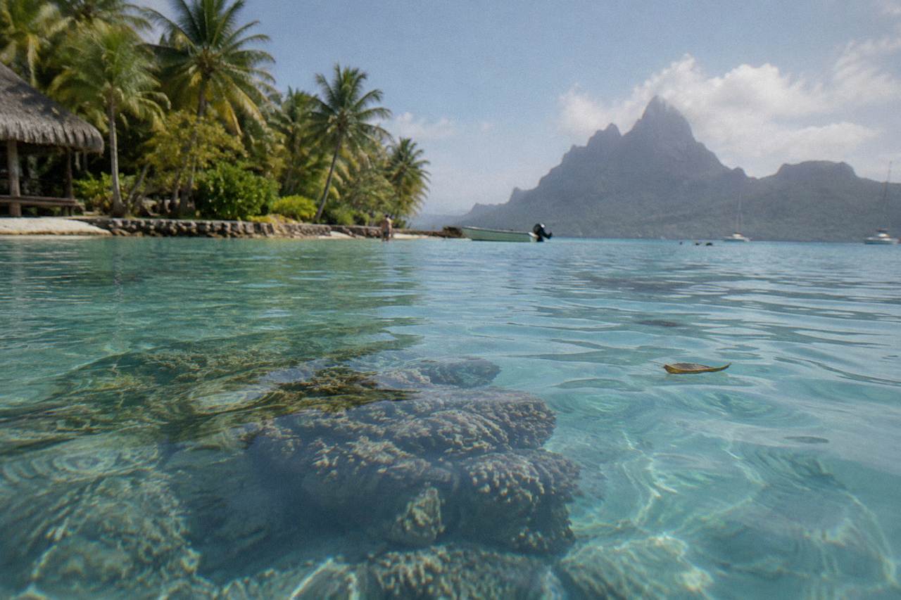 Shallow turquoise lagoon water over a coral formation near a motu in Bora Bora