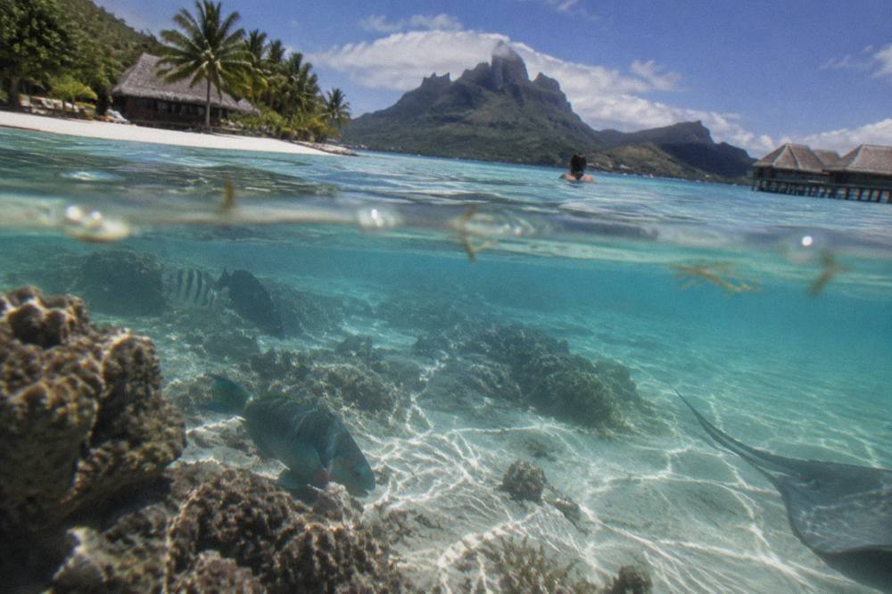 Shallow clear water over pale sand with scattered coral heads and small tropical fish