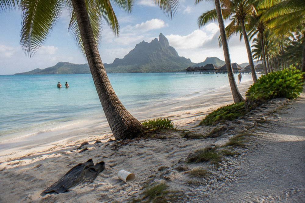 A public beach of pale sand fringed by palm trees along a calm lagoon