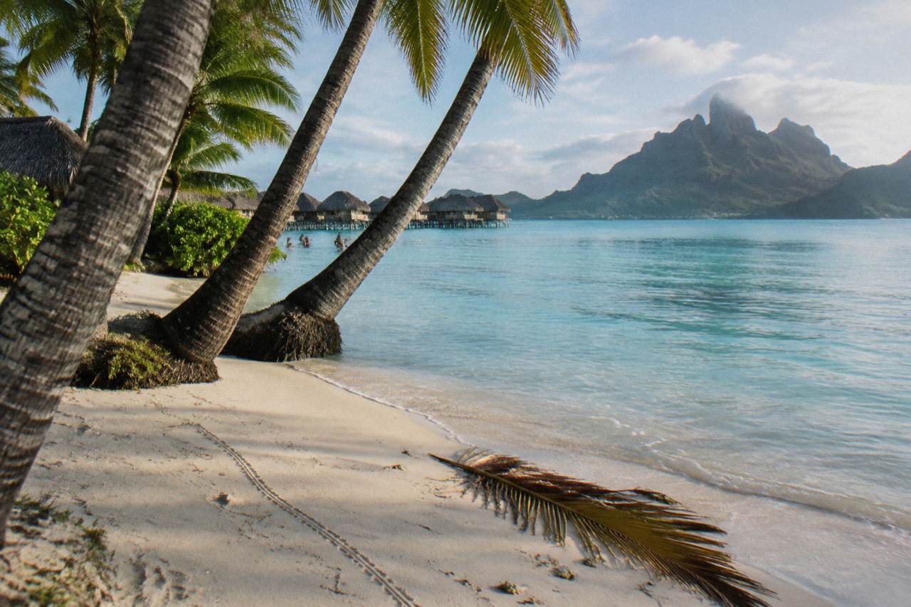 Calm turquoise lagoon water over pale sand at a tropical beach with palm trees