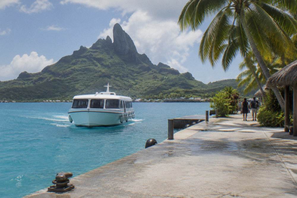 A white passenger tender boat approaching a small quay beside palm trees
