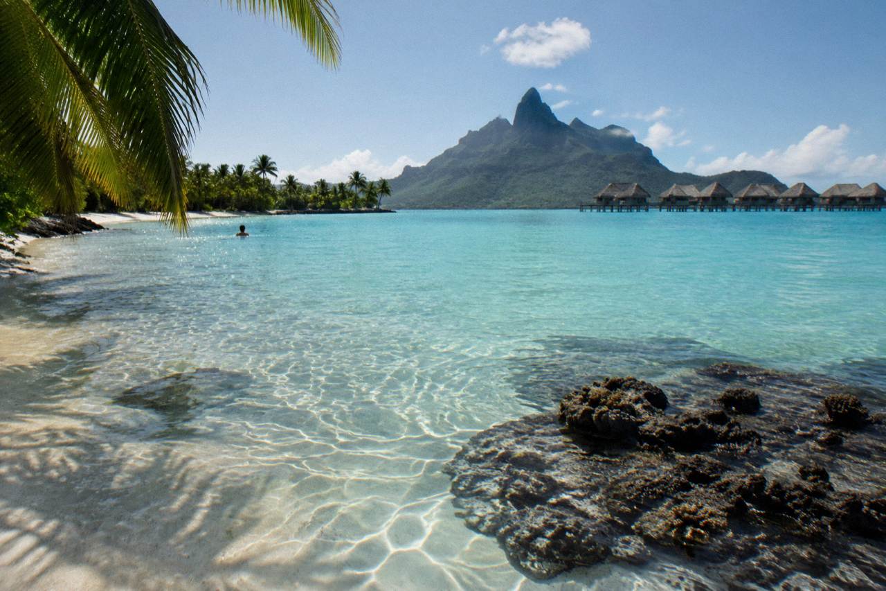 Calm turquoise lagoon water over pale sand near a coral head in Bora Bora
