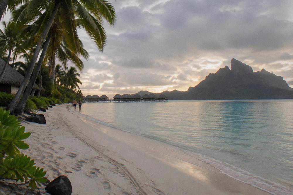 A curved public beach of pale sand with calm shallow water and palm trees