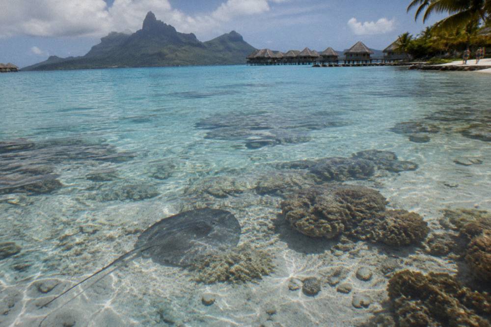 Shallow turquoise water over a coral reef with dark volcanic peaks in the distance